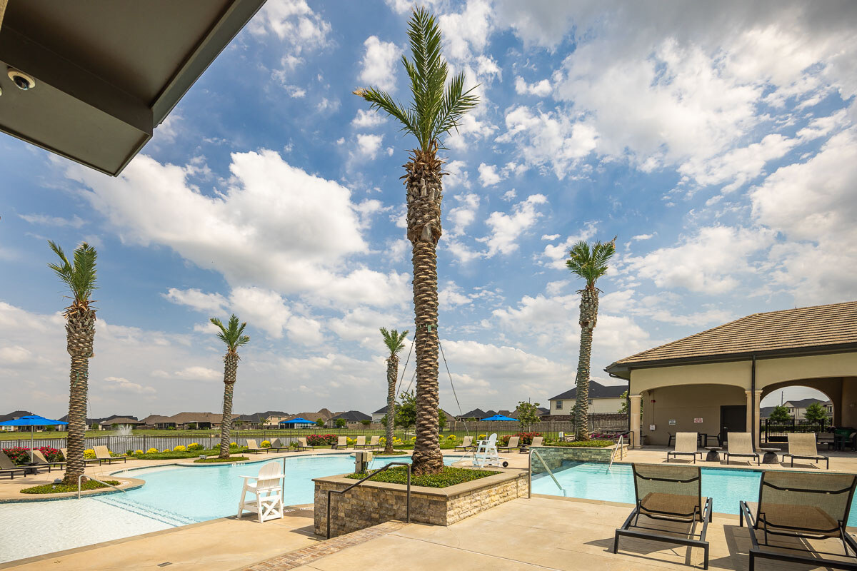 palm trees at HOA pool area