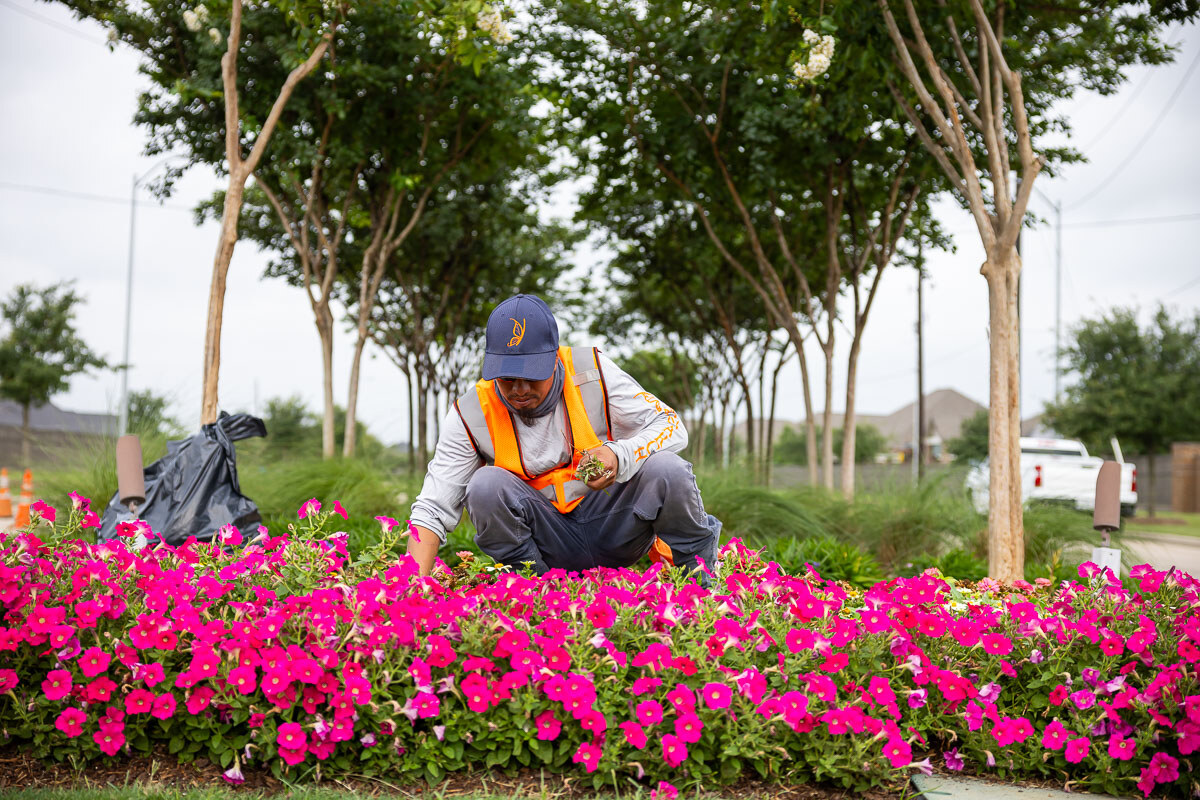 landscape maintenance crew weeds flower bed