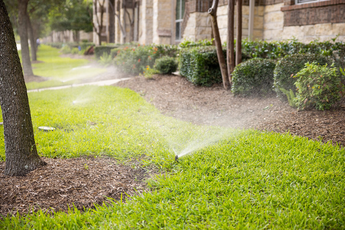 sprinkler heads water grass