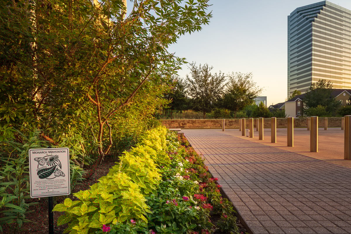 flowers near walkway at commercial property