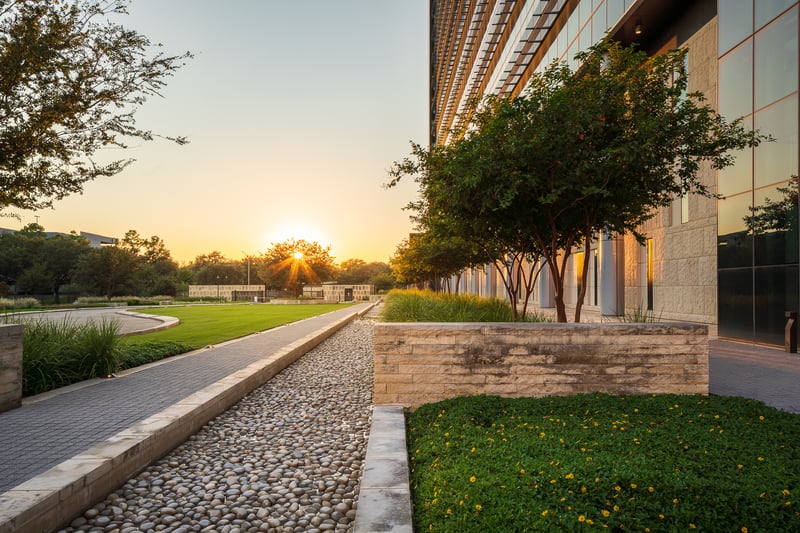 well maintained commercial landscape