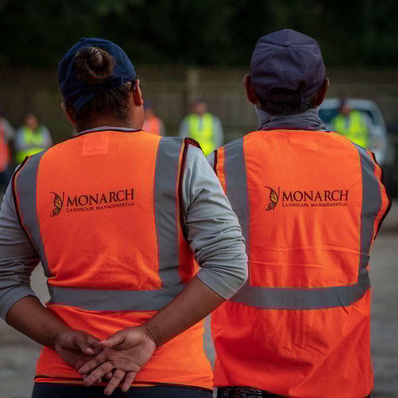 Monarch_LL_LR_110321_-165