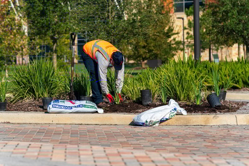 landscape installation team plants in butterfly garden