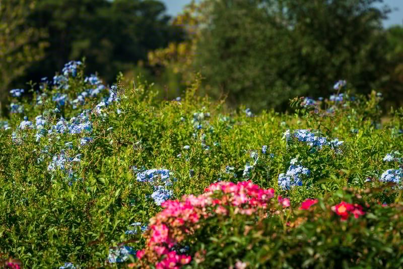 Monarch_LL_LR_110321_-322
