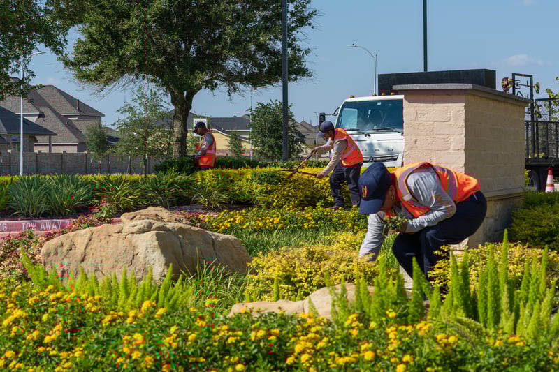 landscape maintenance team weeds and maintains landscape bed