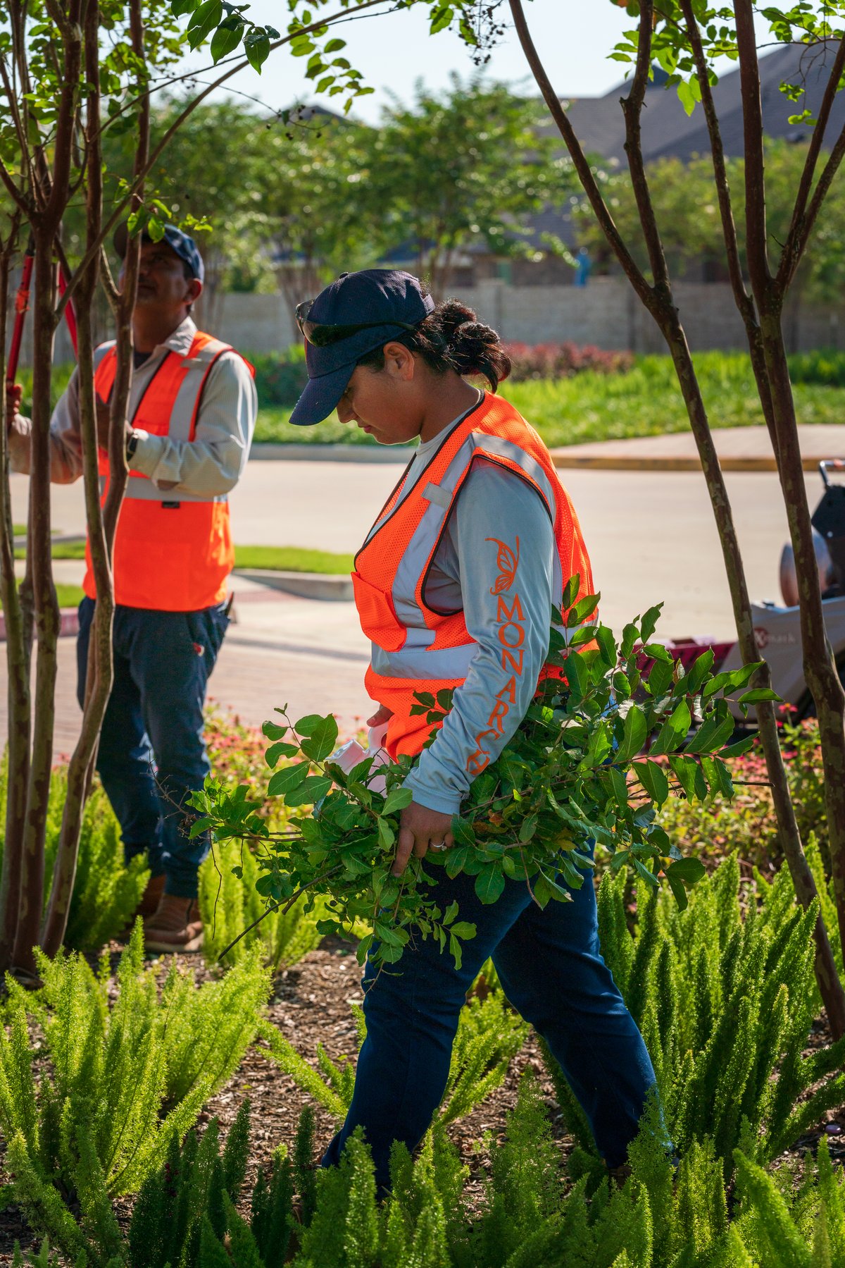 woman hauls branches after pruning