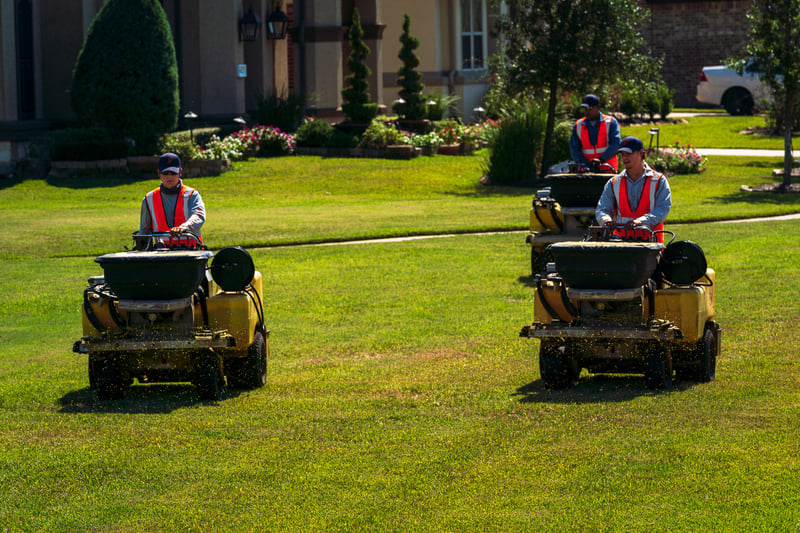 commercial maintenance crew fertilizing lawn with ride on machines