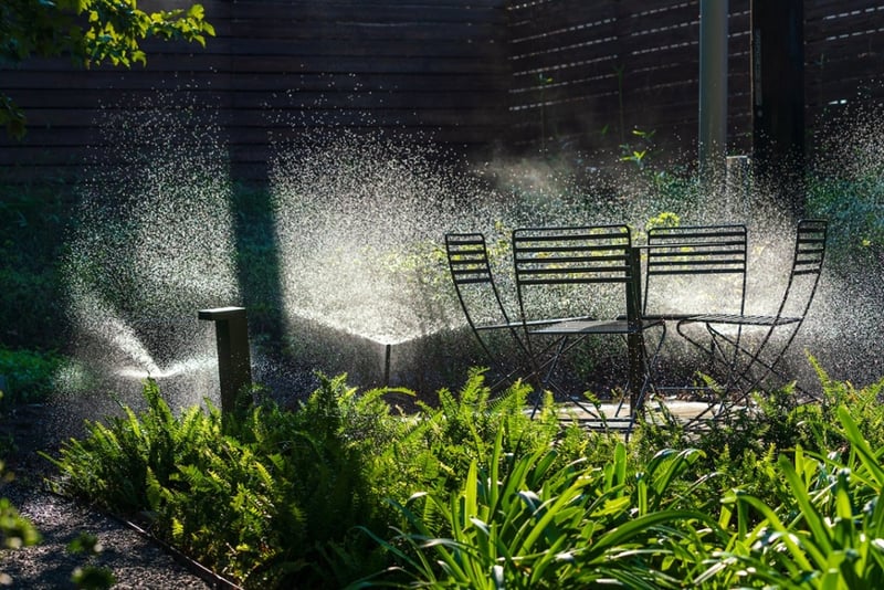 irrigation-sprinkler-spraying-water-1