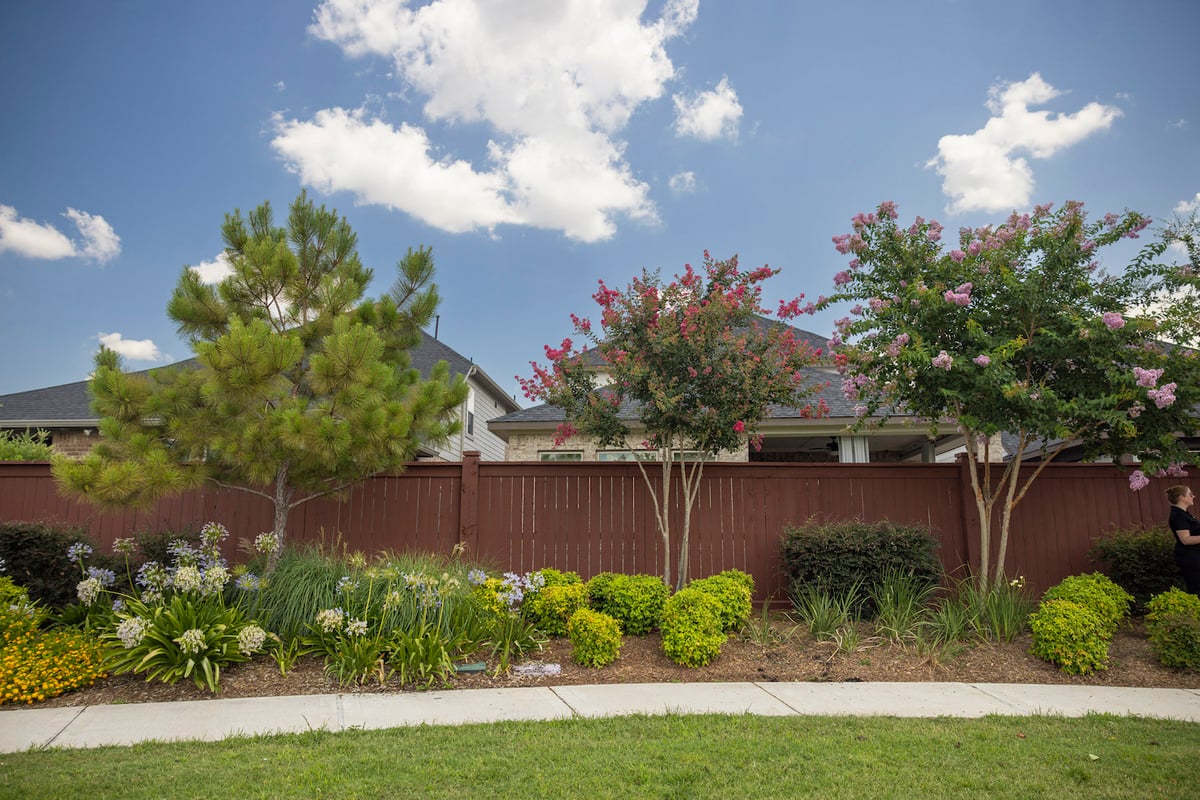 flowering trees along fence and walkway