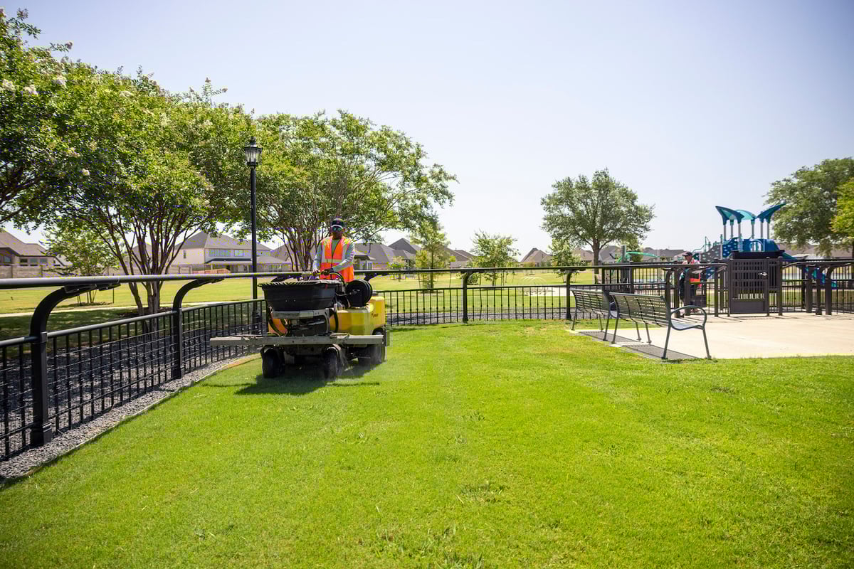 lawn care expert fertilizes grass