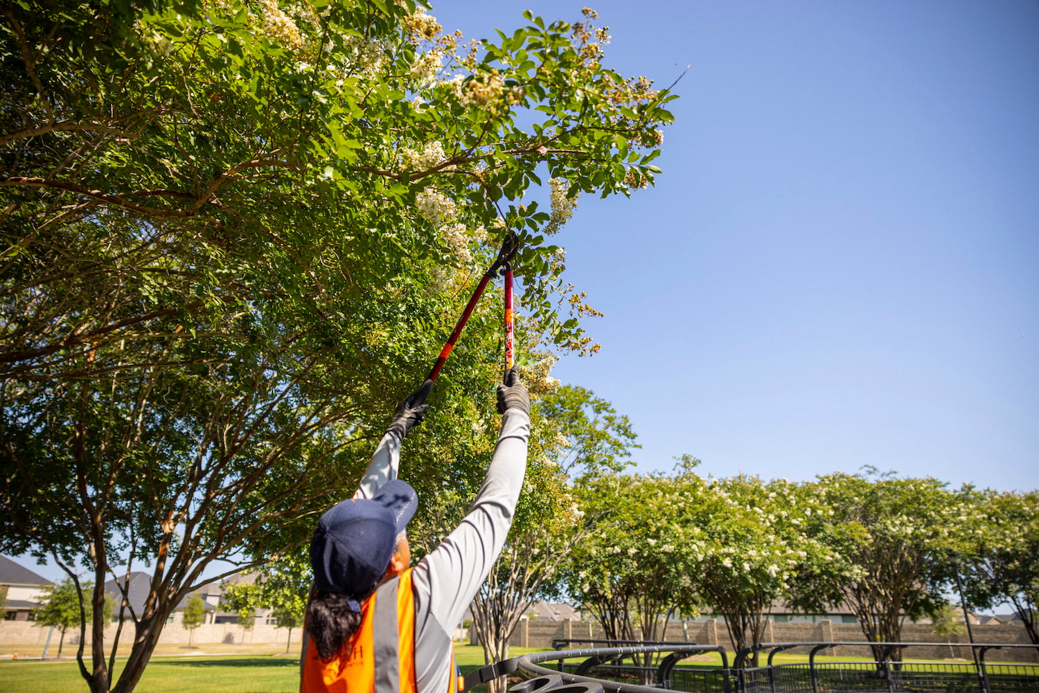 A Handy Spring Landscaping Checklist for HOAs in Houston