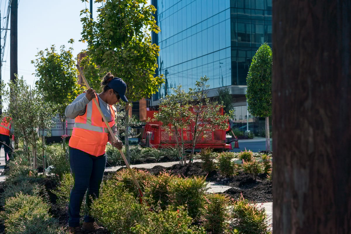 landscape maintenance team rakes mulch into beds