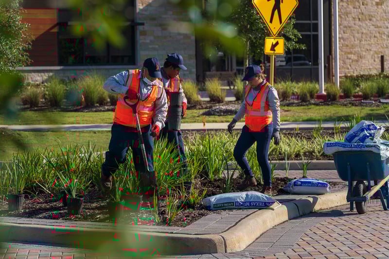landscape team install mulch and perennials