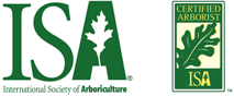 certified-arborist-900x373
