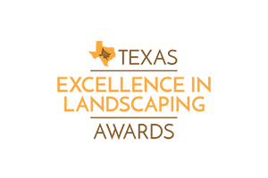 texas-award