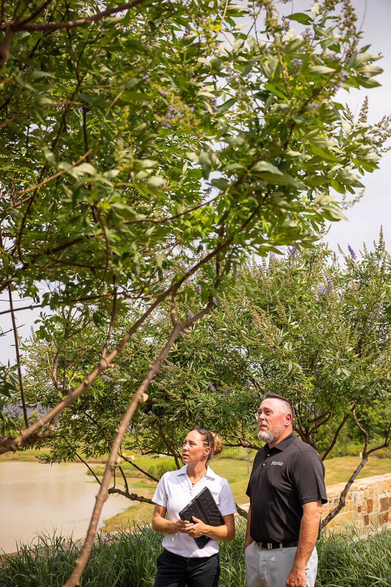 Dellrose HOA account managers inspect tree