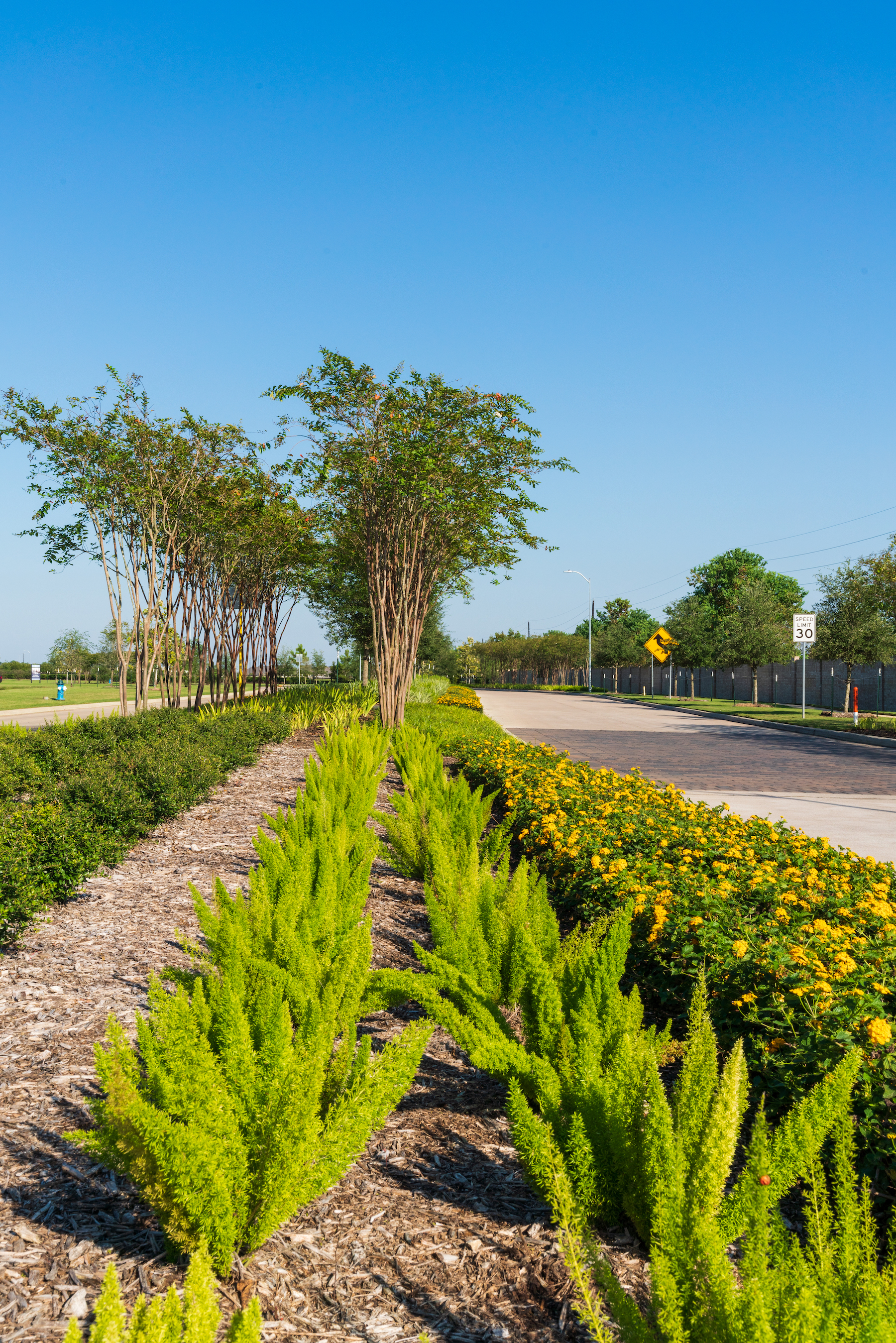 commercial landscape maintenance