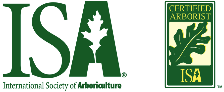 certified-arborist-900x373